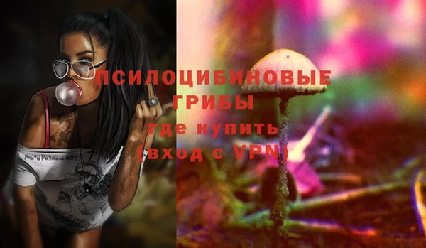 МДПВ Алзамай